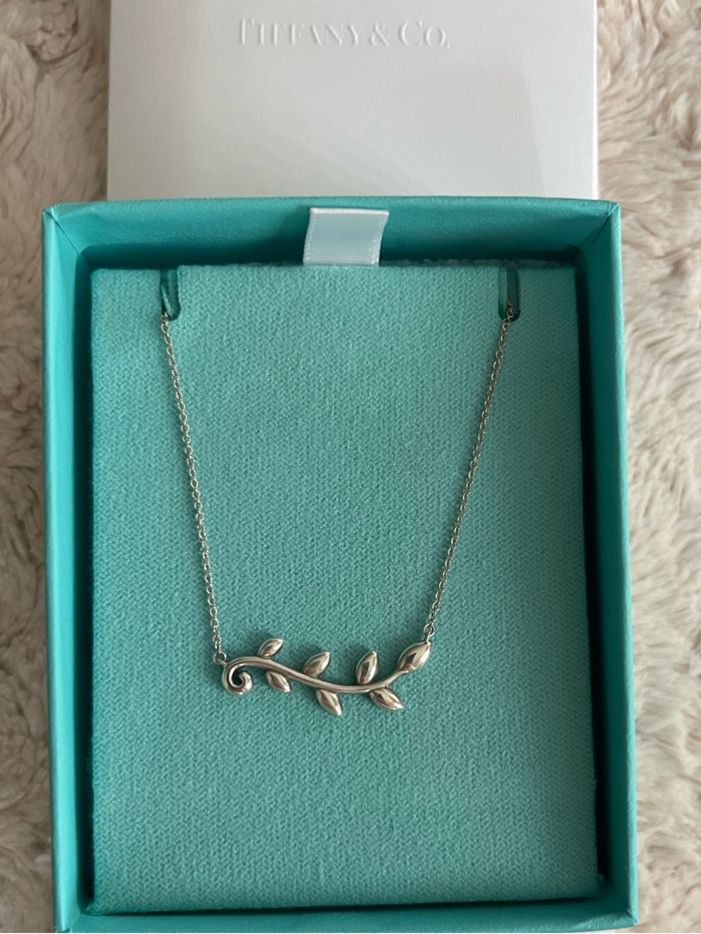 Tiffany & Co. Silver Leaf Vine Necklace - Turquoise Box